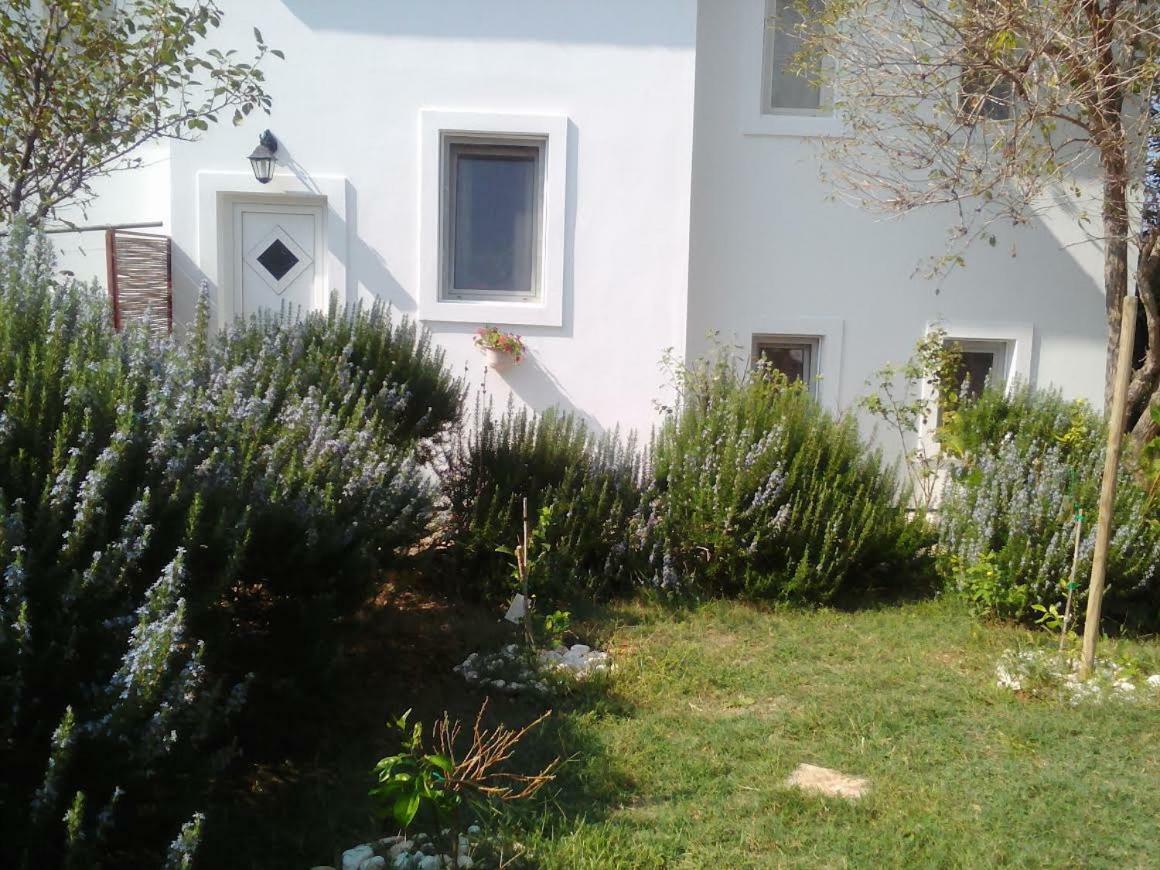 Apartments Lovor Silba Esterno foto