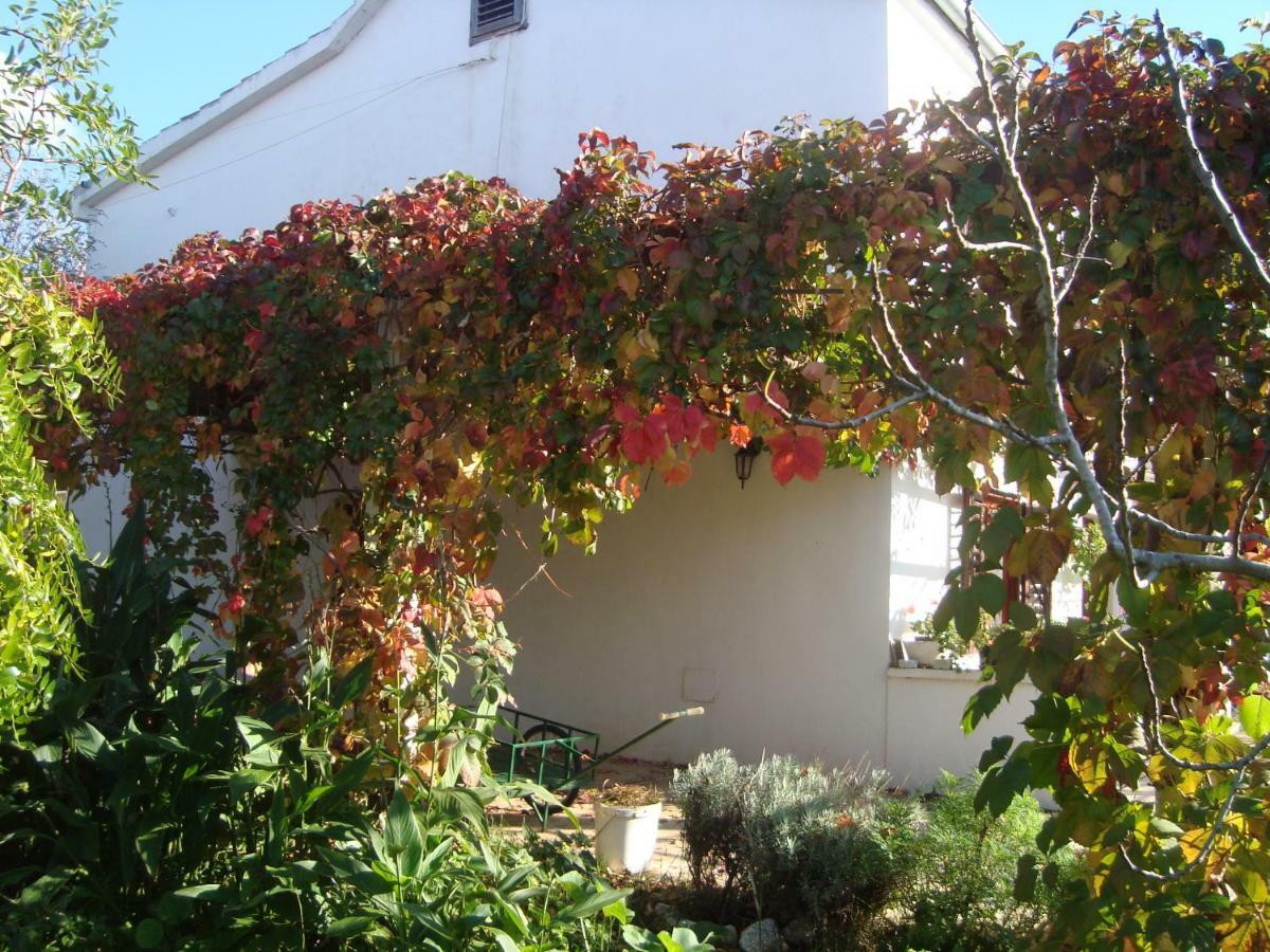 Apartments Lovor Silba Esterno foto