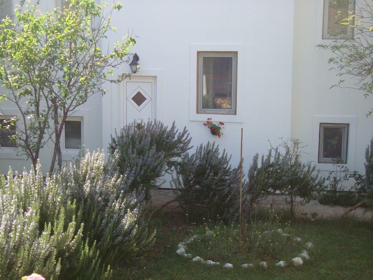 Apartments Lovor Silba Esterno foto