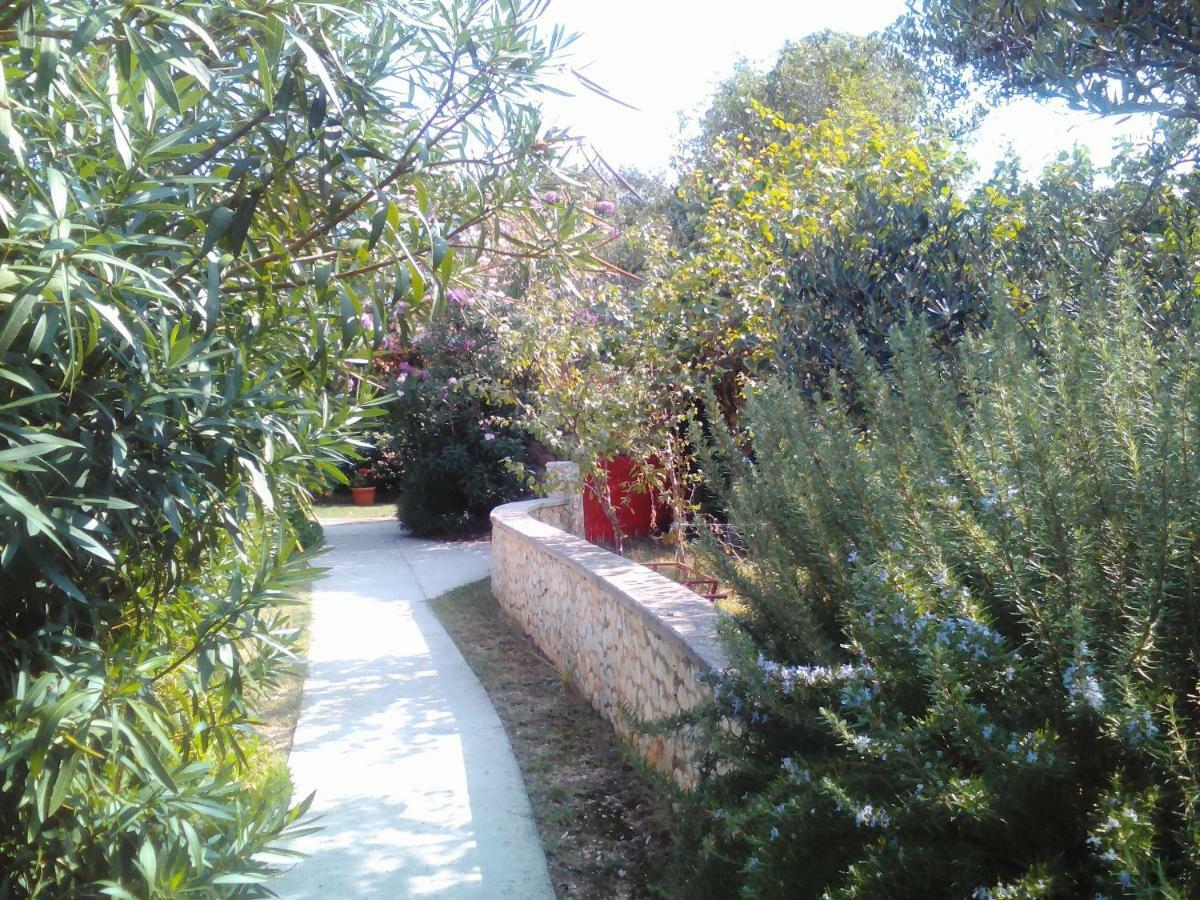 Apartments Lovor Silba Esterno foto