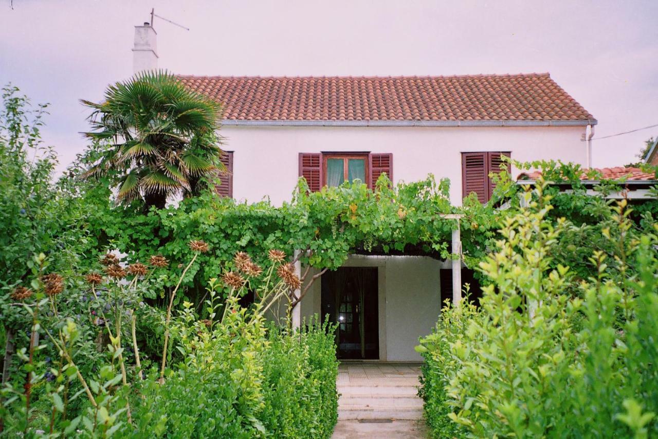 Apartments Lovor Silba Esterno foto